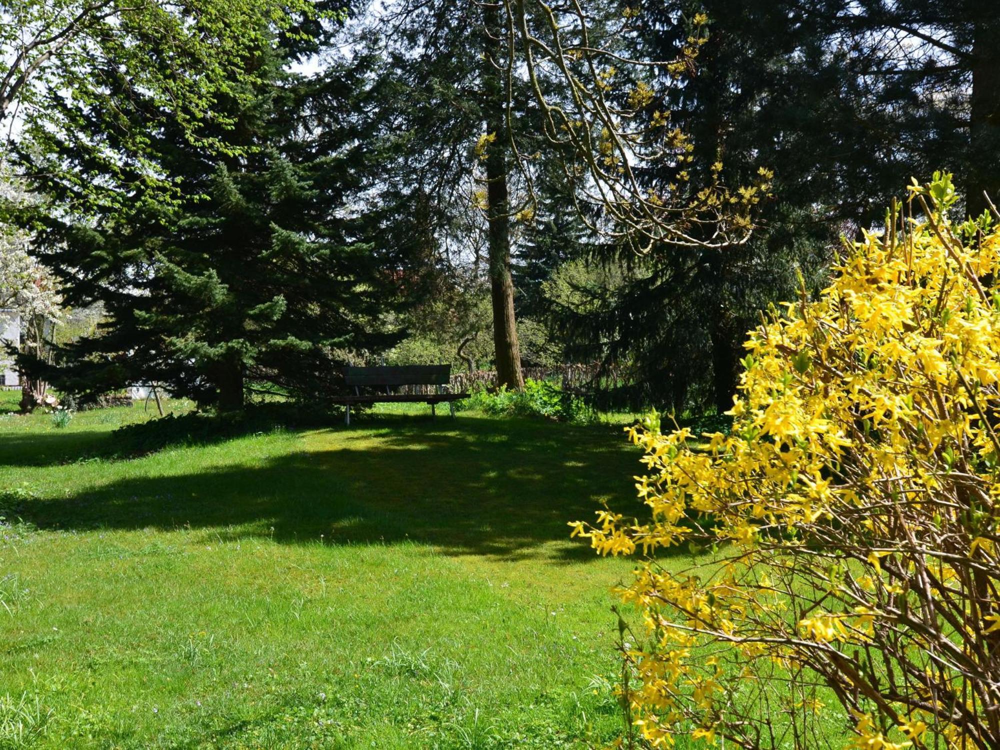 Apartment In Tabarz Thuringia Near The Forest 外观 照片